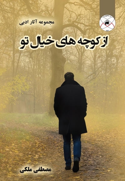 از کوچه های خیال تو